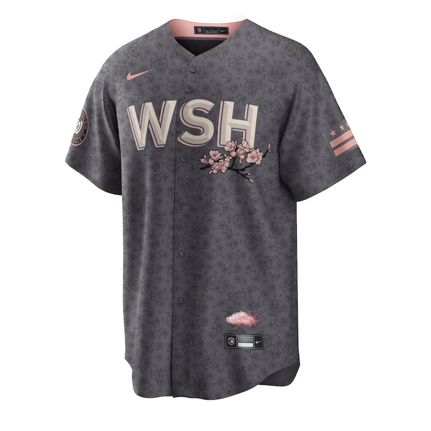 Beisbolera Nike MLB Réplica Oficial Washington Nationals City Connect Men's Short Sleeve Grey T7LM-03VZ-WTL-L23 Camisetas NIKE