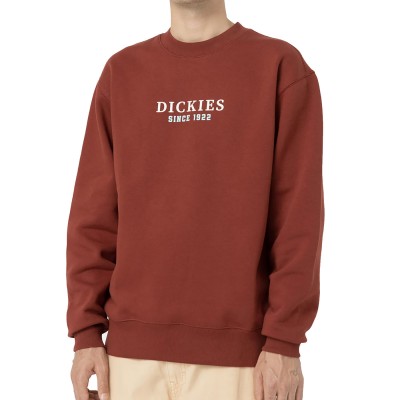 Sudadera DICKIES Park Sweatshirt Fired Brick DK0A4YEIG041 Sudaderas Dickies