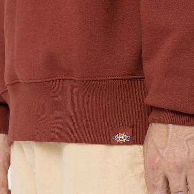 Sudadera DICKIES Park Sweatshirt Fired Brick DK0A4YEIG041 Sudaderas Dickies